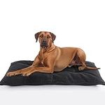 MABOZOO Indestructible Dog Beds Che