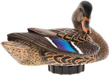 Avian-X Power Shaker Mallard Hen Preener Floating Duck Decoy - Durable Foam-Filled Realistic Lifelike Waterfowl Hunting Motion Decoy