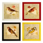 Indianara Set of 4 Birds Paintings in Red Yellow Black White Frames (2126) without glass 9.5 x 9.5 inch each