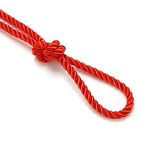 6mm Silky Barley Twist Cord Rope Braid 3 Ply & Matching 16mm Flanged Insertion Piping Furnishing Upholstery Crafts Trimming,36 Colors. High Strength, Neotrims. 5 Yards, Red (Cord)