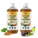 DiabeSmart Dia Care Juice 1L X Pack of 2|Made with 16 Clinically Proven Natural Herbs| Only Diabetic Juice with Triphala & Turmeric| Karela Jamun Juice for Diabetes| Diabetic & Cholesterol Care Juice