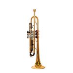 SOUND SAGA® Special Design Bb Trumpet, Pleasant Sound Quality & Pitch, With All Accessories Including Mouthpiece & Case. (GOLD)