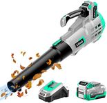 Litheli 20V Cordless Leaf Blower Ba