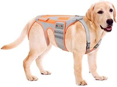 Dog Back B
