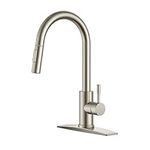 FORIOUS Kitchen Faucets, Brushed Ni