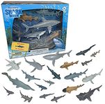 Discovery SHARK WEEK - 20 Pieces Premium Collectable Shark Toys Playset Hand Painted eco Friendly