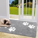 Outdoor Rug For Dogs