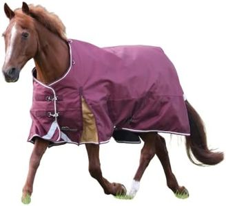 Highlander Plus 100g Standard Neck Horse Blanket (Maroon, 78")