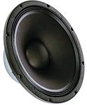 Seismic Audio 15 Inch Subwoofers