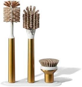 Curio Home