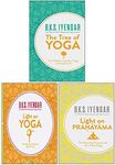 The Tree of Yoga, Light on Yoga, Li
