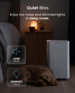 Pro Breeze OmniDry 12L Dehumidifier – Compact Home Moisture Removal