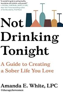 Not Drinking Tonight: A Guide to Creating a Sober Life You Love