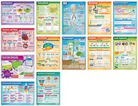 Biology Posters - Set of 13 | Scien