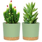 QCQHDU Plant Pots Set of 2 Pack 12.7cm,Planters for Indoor Plants with Drainage Holes and Removable Base,Saucer Modern Decorative for Outdoor Garden Planters(Green 12.7cm)