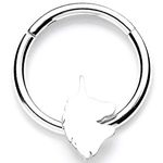 Body Candy 16G 316L Steel Hinged Segment Ring Seamless Cartilage Nipple Ring Unicorn Nose Hoop 3/8"