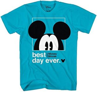 Disney Mic
