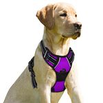 BARKBAY Dog Harness No-Pull Pet Harness Adjustable Outdoor Pet Vest 3M Reflective Oxford Material Vest for Dogs Easy Control for Small Medium Large Dogs
