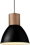 Modern Style Black Pendant lamp,Hollow Craft Hanging lamp,Remote Control Light,Battery Operated lamp,Dimmable Light,Black Pendant Light,with Remote Control+Bulb+Charging Cable (Color : Black)