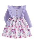 Buy&try by Dharmikaay Girl's Lycra Printed Full Sleeve Short Frock Dress (6-12-MONTH, Purple)