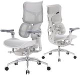 SIHOO Doro S300 Ergonomic Office Ch