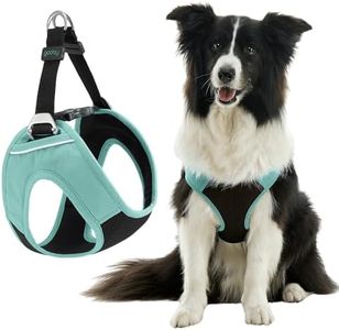 Gooby Escape Free Easy Fit Plus Harness - Seattle Blue, Large - Safe and Escape Free Dog Harness for Small Dog and Medium Dog