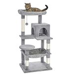 Cat Trees For Large Cats