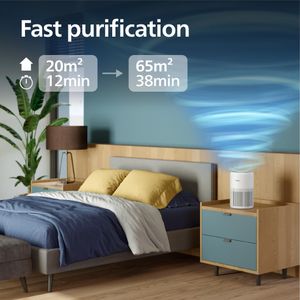 Philips Air Purifier 900 – HEPA Filter for Allergen Removal