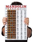 Laminated Mandolin Fretboard Notes & Easy Beginner Chord Chart 11"x17" Instructional Poster by A New Song Music