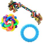 PetVogue Interactive Cute and Safe Non-Toxic Multicolour Teething Squeaky Chew Toys - 3 Pack for Puppy , Small/Medium Dogs