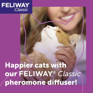 FELIWAY Classic Cat Calming Diffuser – Stress Relief Plug-In