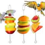 Bird Feeder for Cage, 3 Pack Bird Foraging Toys Stainless Steel Bird Food Holder Parrot Fruit Skewer Cockatoo Vegetable Hanger Parrot Toys Cockatiel Toys Parakeet Cage Accessories (9 Inches)