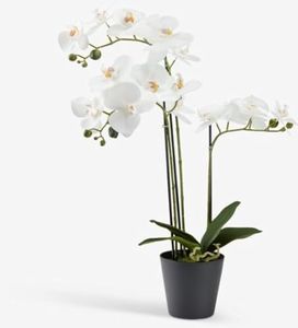 PAPERI Artificial Orchid Flower with Pot for Home Decor – Indoor Artificial Flowers for Decorations, Office Decoration Flower, Fake Decorative Items for Living Room, Centre Table, White