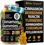 S RAW SCIENCE Sugar Free Berberine Gummies with Ceylon Cinnamon 2000mg - Blood Support - Ashwagandha, Turmeric, Chromium, Psyllium Husk Powder, Gymnema Sylvestre - 60 Fiber Gummies