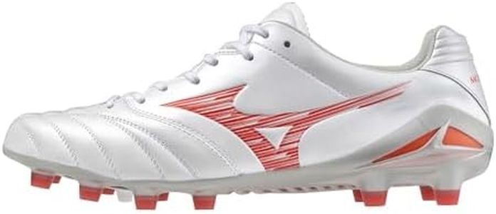 Mizuno Mon