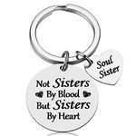 iWenSheng Gifts for Women - Not Sister by Blood But Sisters by Heart Keychain, for Women Teens Sisters, Birthday Gifts for Best Friend BFF Jewelry