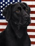 Black Labrador - Best of Breed Patriotic II Garden Flags