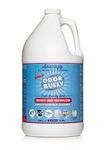 Whip-It Odor Bully Instant Odor Neutralizer Spray - Odor Eliminator for Home and Car