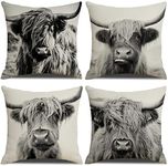 YCHZ Highland Cow Throw Pillow Cove