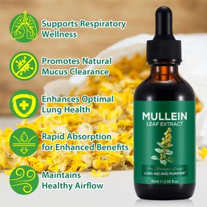 Mullein Drops Lung Cleanse Supplement – 2-Pack Respiratory Support