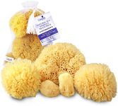 Natural Sea Sponges for Bathing - 5PC Multi Pack Spa Gift Set, Gentle Hypoallergenic, For Bath Shower & Facial Cleansing, Eco Friendly, Pamper Moms Brides Girlfriends & Teens by Constantia Beauty ®