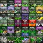 Ultimate Medicinal Herbs Collection