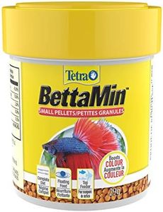 Tetra fish