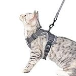 pangdi Cat Harness and Leash Set Es