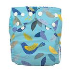 Charlie Banana 2-in-1 Reusable Diapers, Twitter Birds