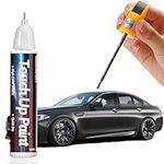 Grey Touch Up Paint for Cars, Car P