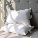 Alanzimo Goose Feather Down Pillows