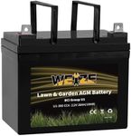 Weize Lawn & Garden AGM Battery, 12