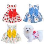 3 Pieces Dog Dresses Puppy Bowknot Luxury Princess Dress Floral Clothes Wedding Evening Dress Summer Outfits Tutu Skirt Cute Doggie Dress for Small Dog Girl Blue Green Red M