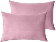 StangH Soft Velvet Pillowcase Bed Pillow Cover for Hair and Skin, Queen Size (Pink, 20 x 30 inches) Pillow Cases Set of 2, Luxury Warm Pillow Cover with Hidden Zipper for Teen Girls